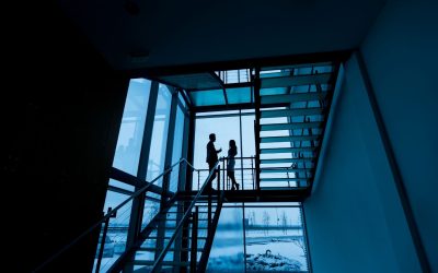 Le Business Model des Fourmis : Ce que la Nature Nous Apprend sur l’Entrepreneuriat