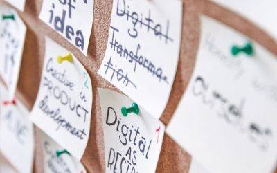 Le Secret des Moineaux : Inspirer le Développement Sans Limite