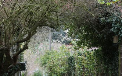 Se former en dormant : mythe ou révolution pédagogique ?